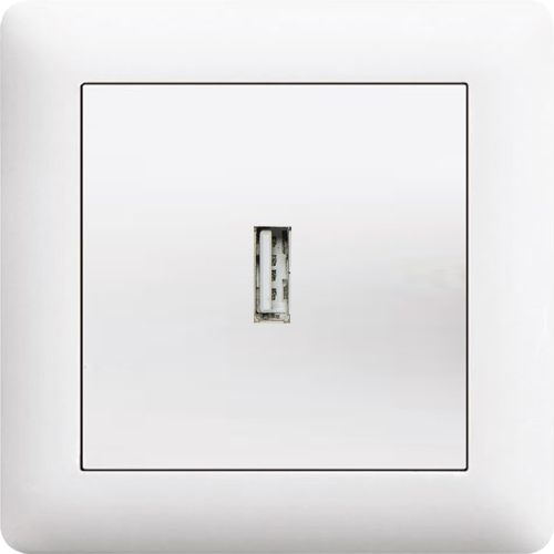 USB ANSCHLUSSDOSE  ( Einsatz + Deckel ) LUNIS Alpinweiss